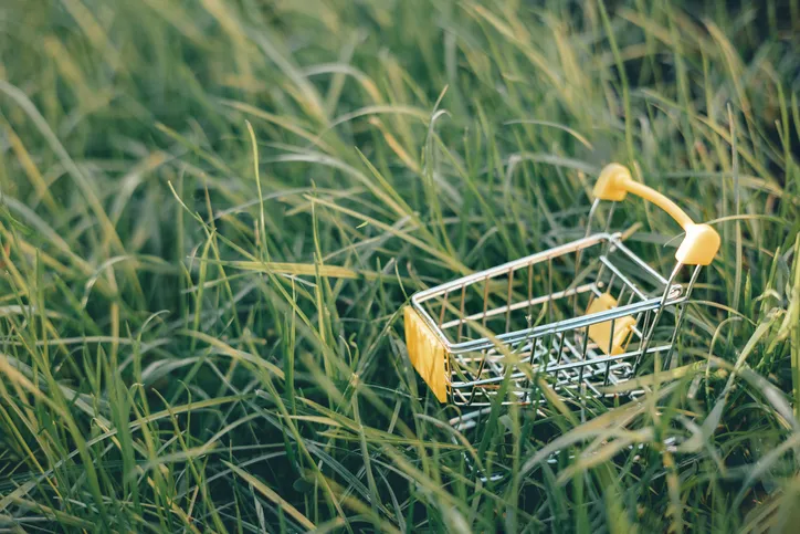 A miniature shopping cart is placed in the grass.