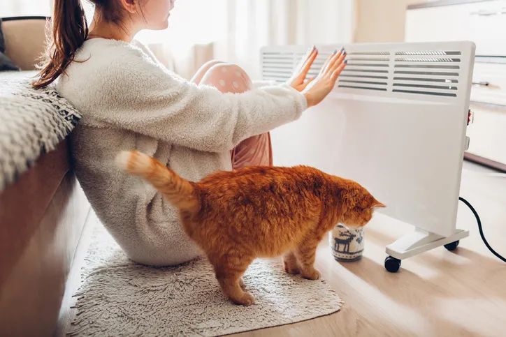 A women and her orange cat are sitting in front of an electric heater inside a house or apartment.