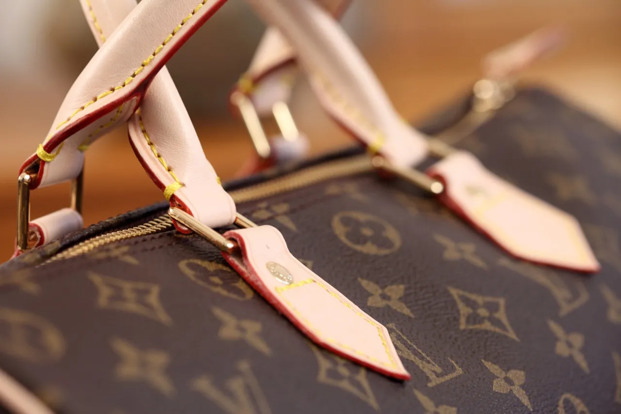 A close up of a Louis Vuitton Bag.