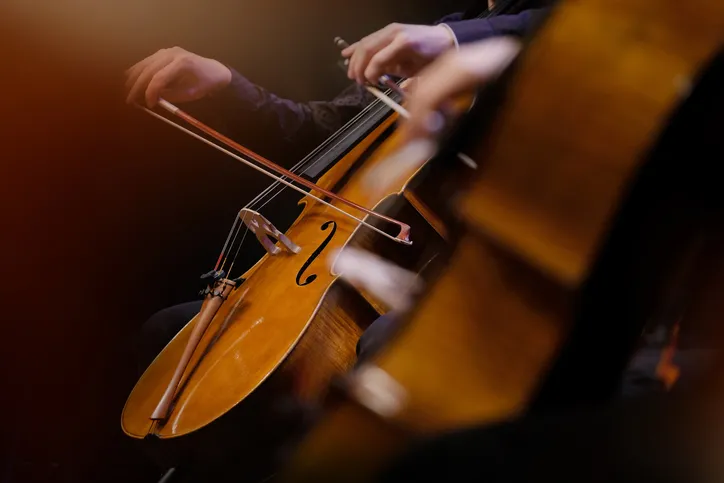 a close-up of someone playing a stringed musical instrument, specifically a cello.