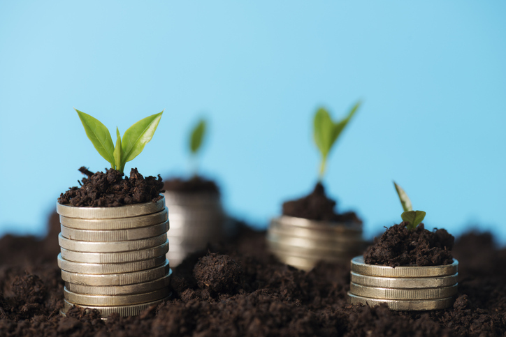 Coins are sitting in the dirt with plants on top of them.